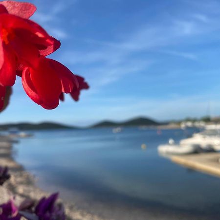Amore Del Mare, Seaside Family Pace, Free Parking And Wifi In Camp Dalmatino Драге Экстерьер фото